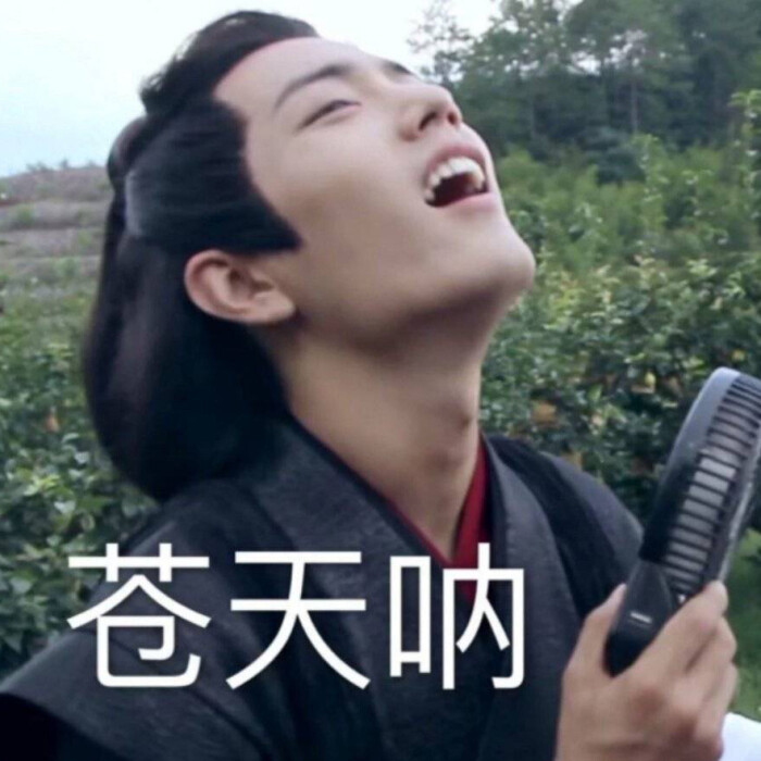 肖战 表情包❤️