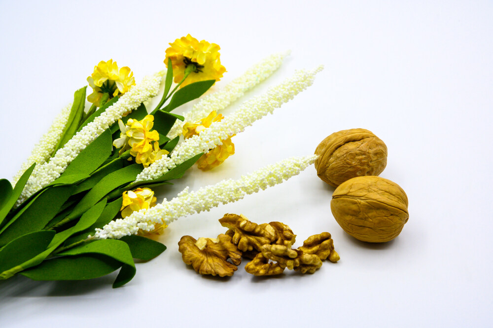 食品 食物 植物 果实 成熟的 特写 绿色食品 美味 零食 坚果 干果 核桃 核桃仁 膳食纤维 小吃 益智 亚洲 健康食物 有机食品 膳食 养生 滋补 营养 食材 生活方式 健康的 白色背景 白瓷盘 干果钳 简单背景
