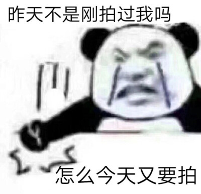 拍一拍沙雕表情