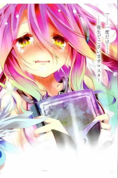 no game no life 游戏人生