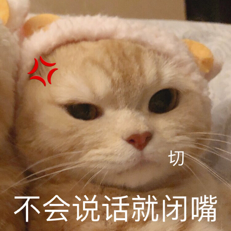 猫咪表情包 可爱 橘猫沙梨