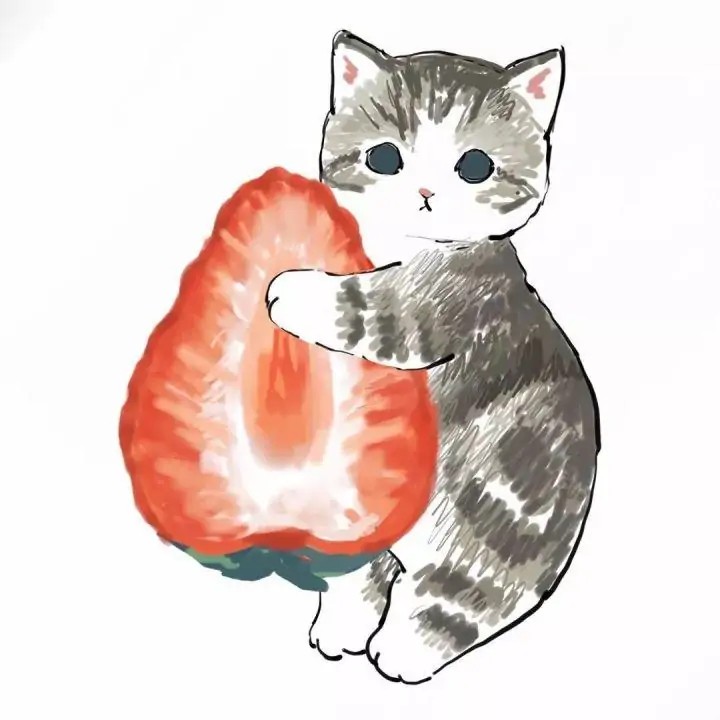 猫 猫主子 猫奴 头像
