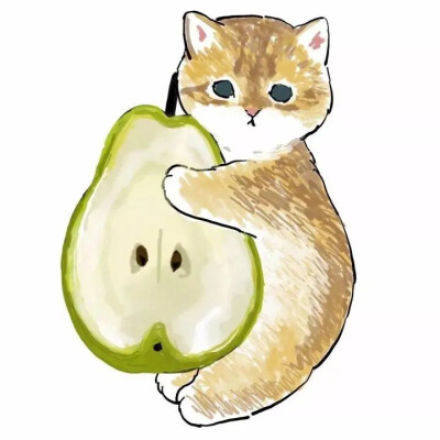 猫 猫主子 猫奴 头像