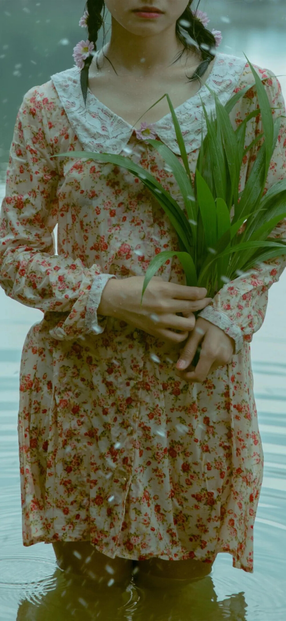 夏日清凉壁纸♡
夏日少女