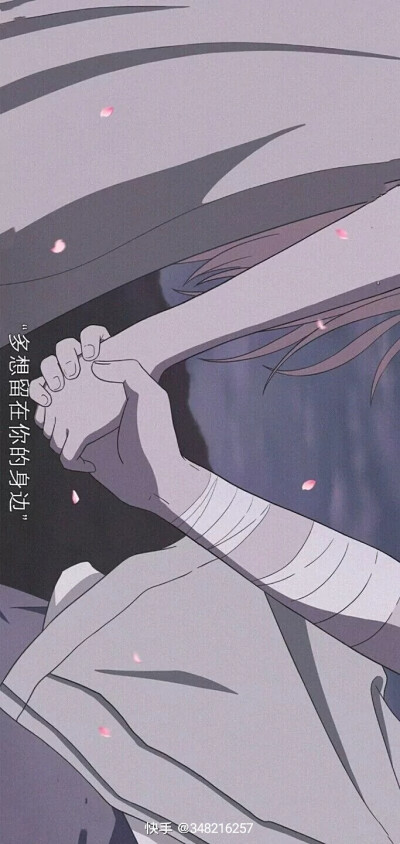 美丽的壁纸❤