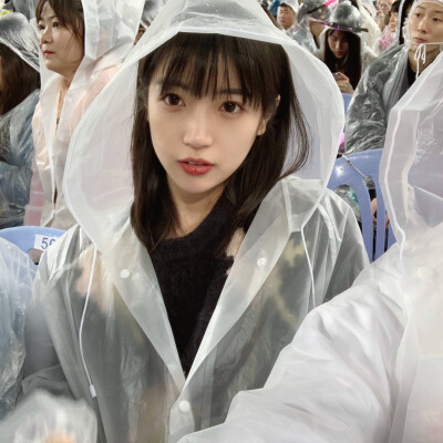 见简介