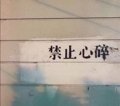 一些人们随手拍的标语和留下的字