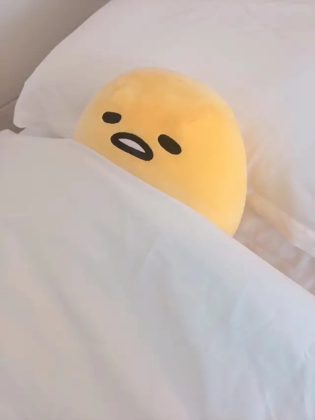 也太可爱了吧！！！！