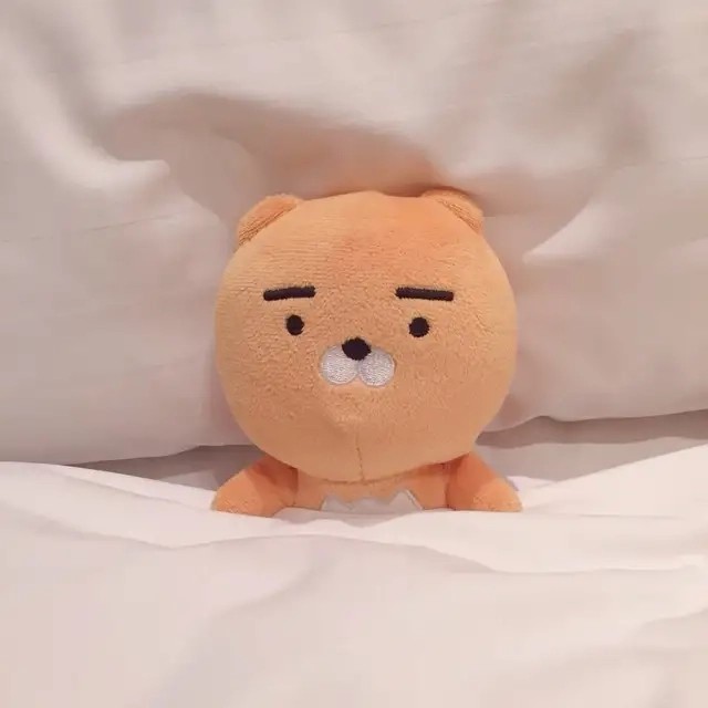 也太可爱了吧！！！！