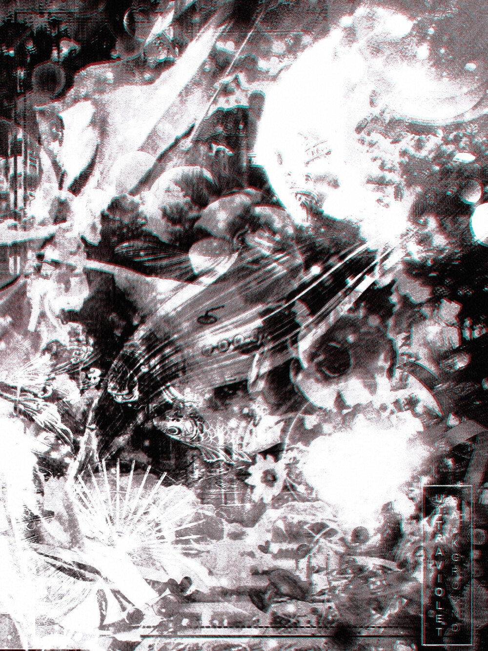 金奈自溶，抱转dd，关注