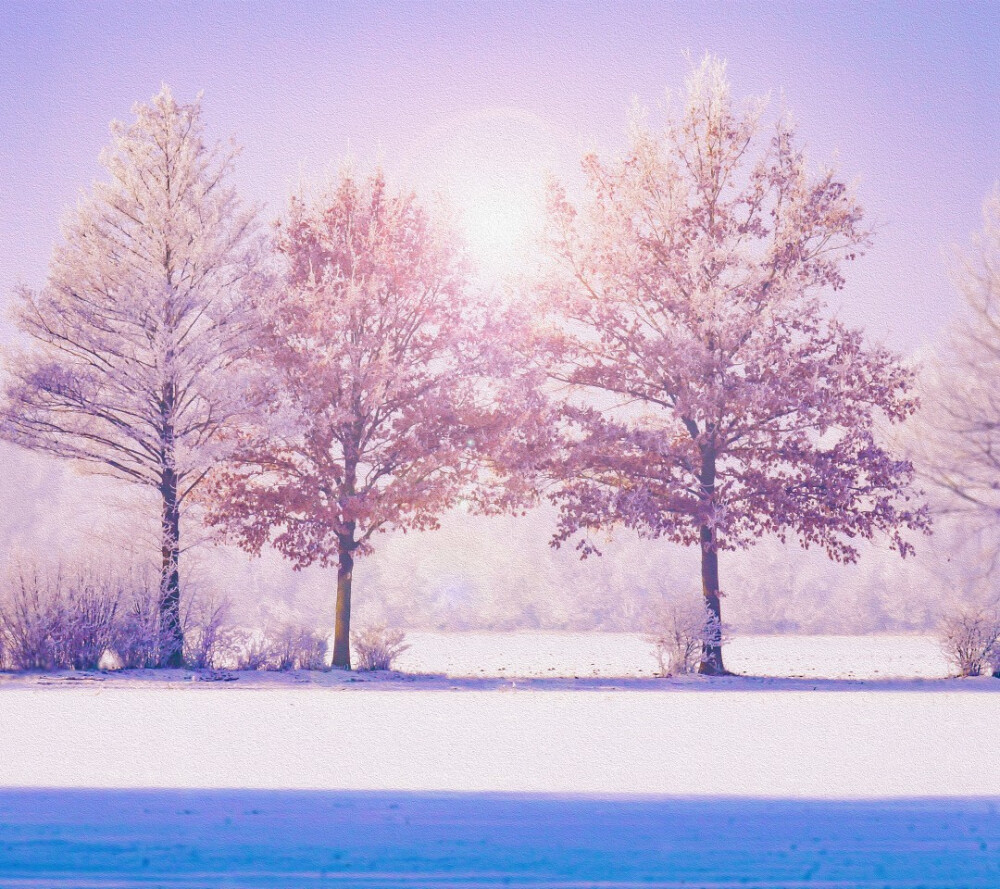 夕阳·树·向日葵