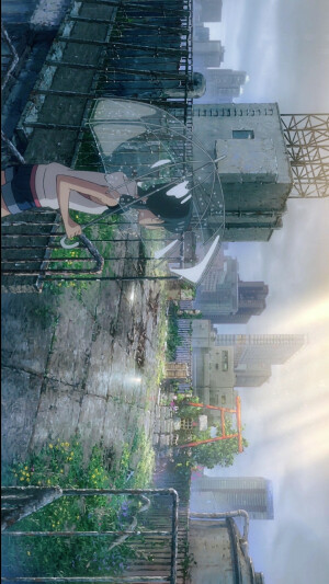 天气之子 横屏壁纸 自截 
禁二改二传