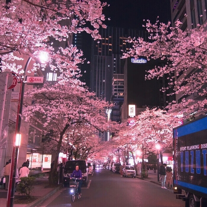 花朵/背景图/可二改/可标标签/拒评论