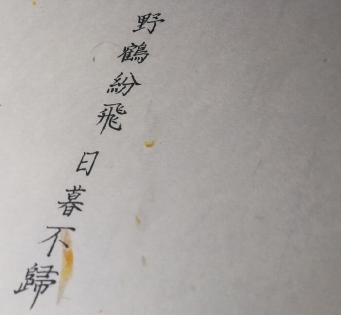 我的垃圾手写（练字练字练字）