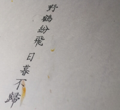 我的垃圾手写（练字练字练字）