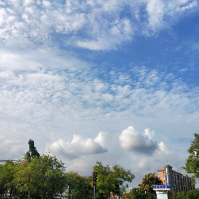 I Wandered Lonely As A Cloud.
我孤独地漫游，像一朵云。