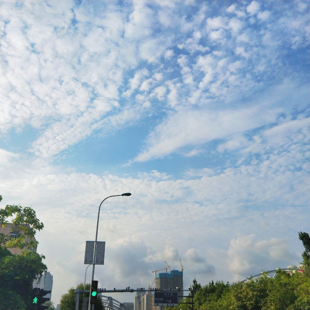 I Wandered Lonely As A Cloud.
我孤独地漫游，像一朵云。