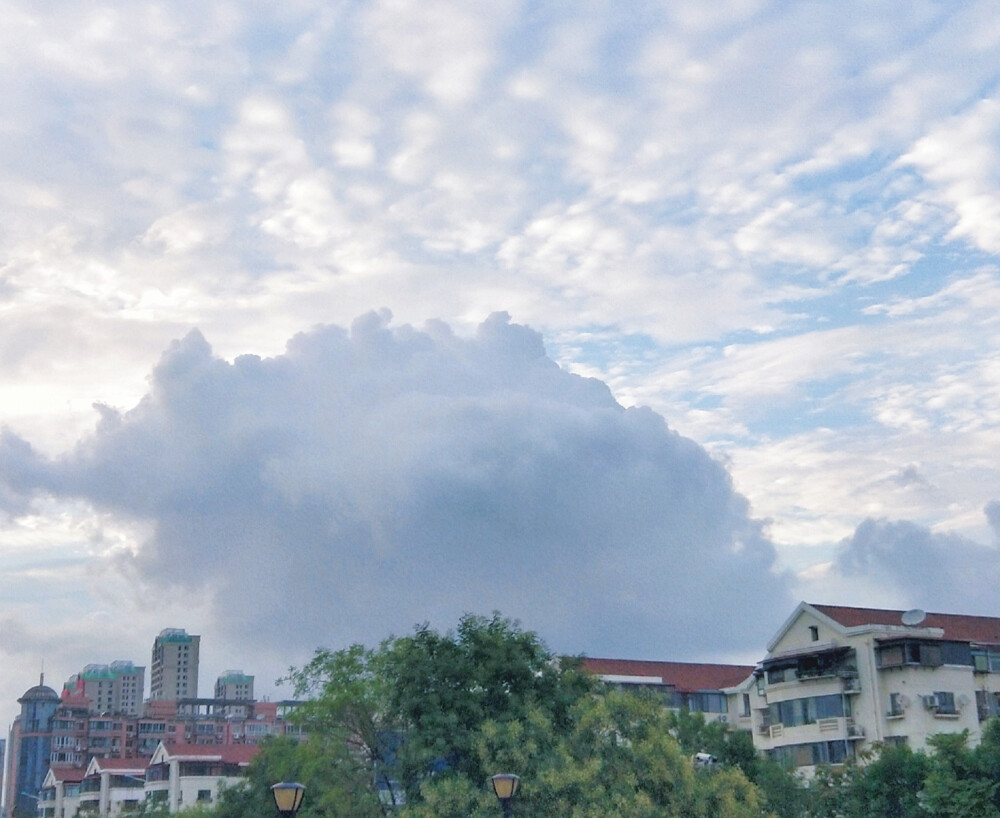 I Wandered Lonely As A Cloud.
我孤独地漫游，像一朵云。