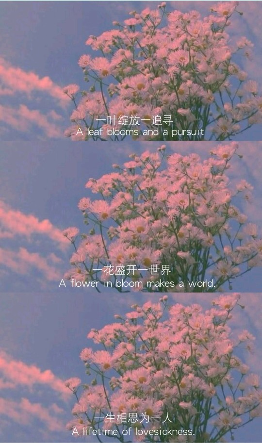 原创文字拼接