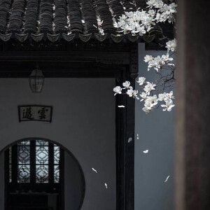 不开心就吹吹风