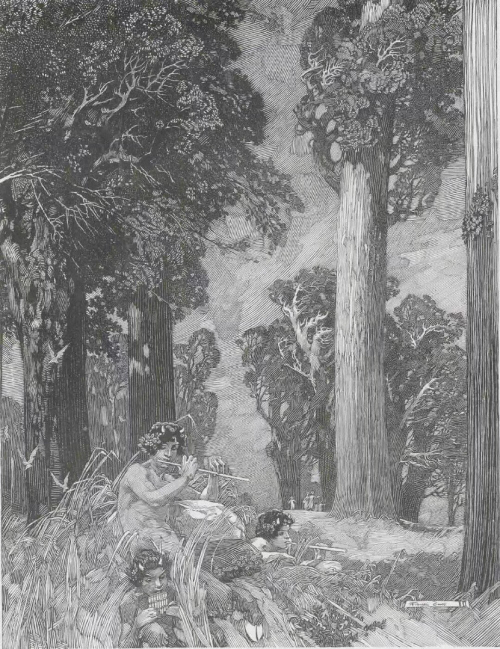 美国画家富兰克林·布思（Franklin Booth，1874-1948）以钢笔画插图而闻名。