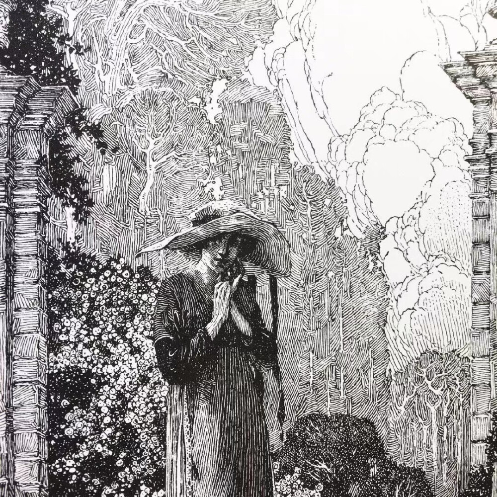 美国画家富兰克林·布思（Franklin Booth，1874-1948）以钢笔画插图而闻名。