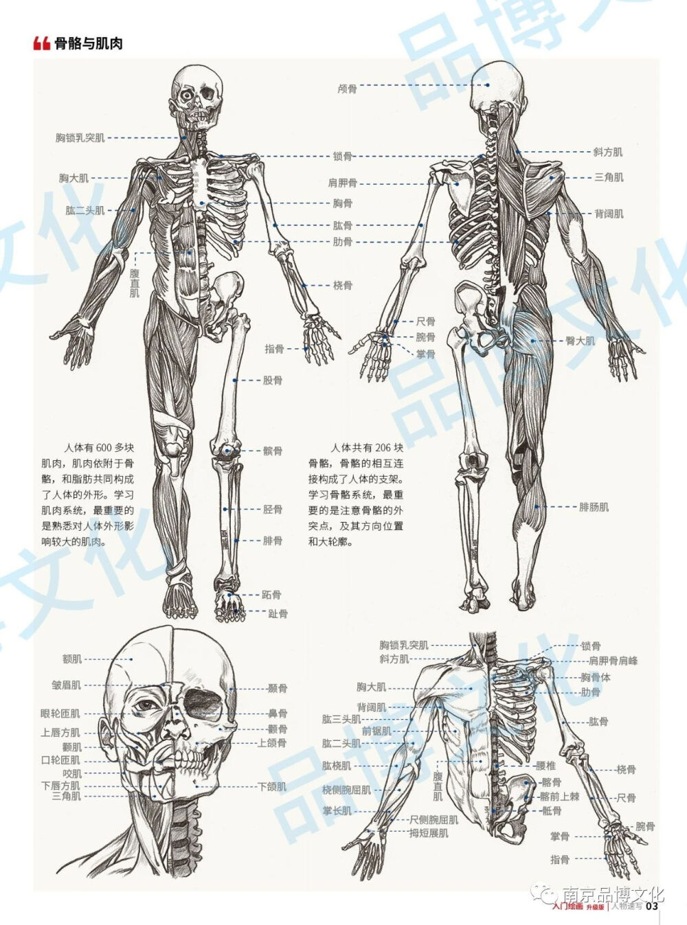 速写人物