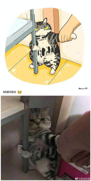 [cp]看平平无奇的原图VS有趣的灵魂画作~
插画师ROCKYS ​​​[/cp]