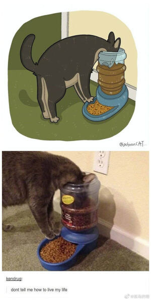 [cp]看平平无奇的原图VS有趣的灵魂画作~
插画师ROCKYS ​​​[/cp]