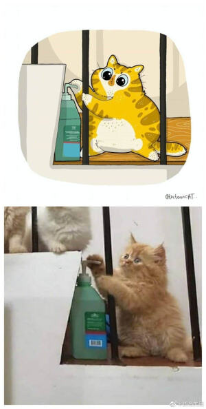 [cp]看平平无奇的原图VS有趣的灵魂画作~
插画师ROCKYS ​​​[/cp]