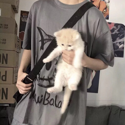 真人 男头 帅 混网