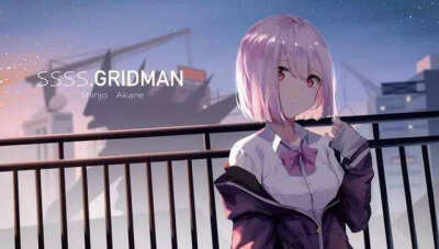 SSSS.GRIDMAN