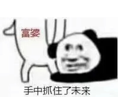 快乐源泉:熊猫头