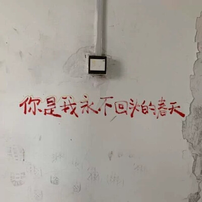背景图