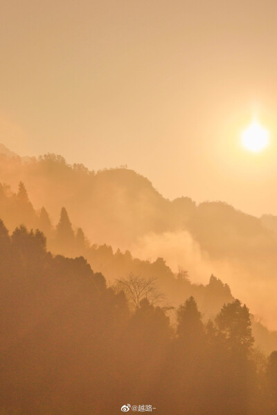 
✨云边有个小卖部
货架上堆满了岁月和夕阳✨
©越路-