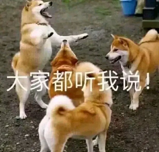 表情