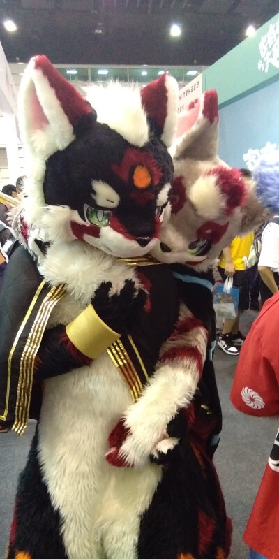 新专辑Fursuit，主要收录兽装毛毛日常，正在更新中，专辑如有疏漏错误等请指正。
图中毛毛：格兰艾尔（左）&流银酱（右）
图片来源：Twitter
@airSAMAdesu
@SugarRugin
图片所有权归属摄影师及毛毛所有，请勿商用！
…