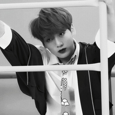 /Cloudirest
原截 许酪
