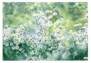 色彩搭配的极度舒适