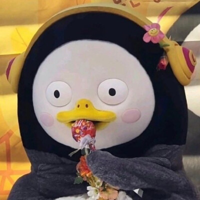【沙雕搞怪头像】成功的聪明人太多了,我必须为笨蛋争口气