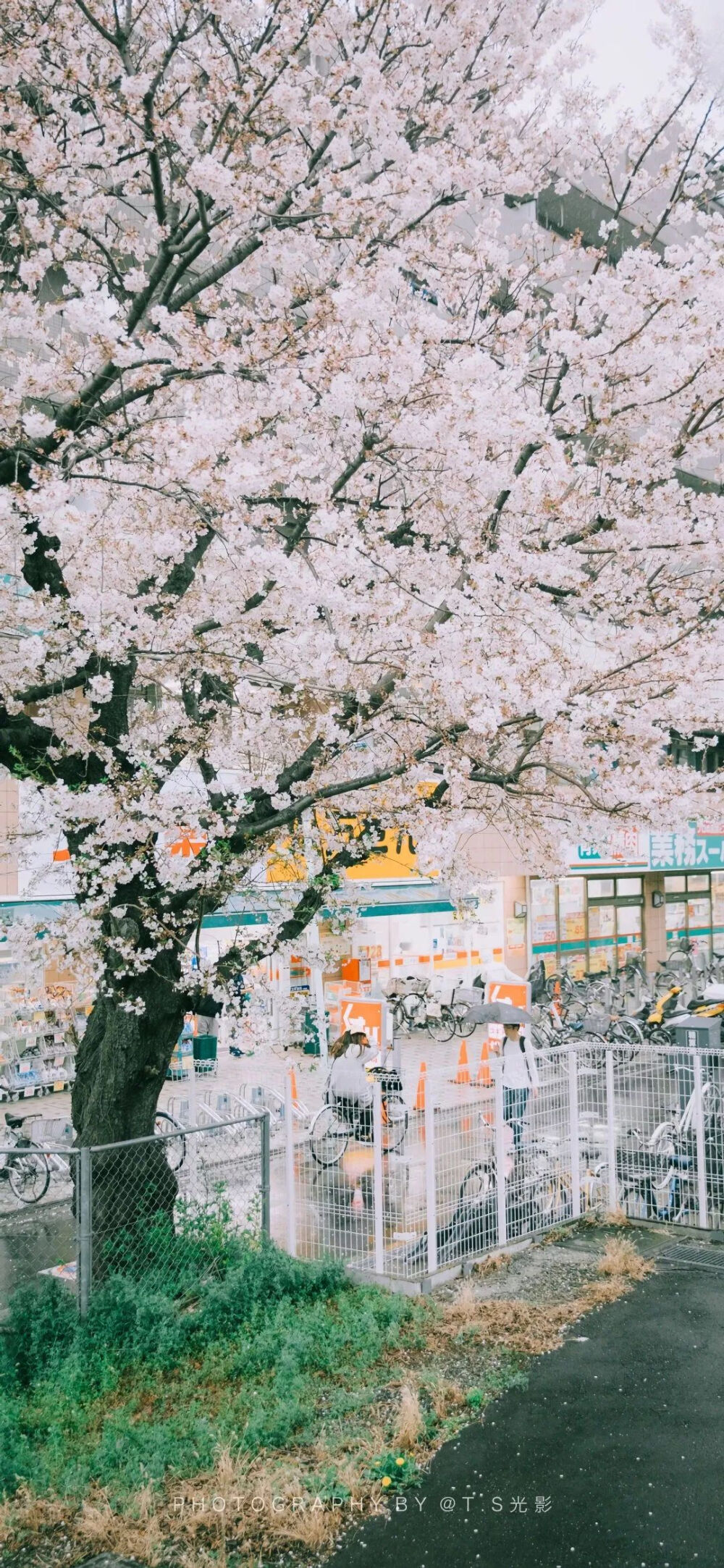 城市之景壁纸