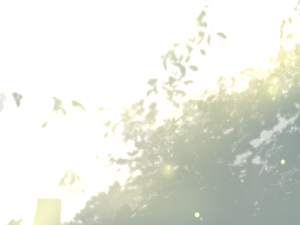 送给美工的素材