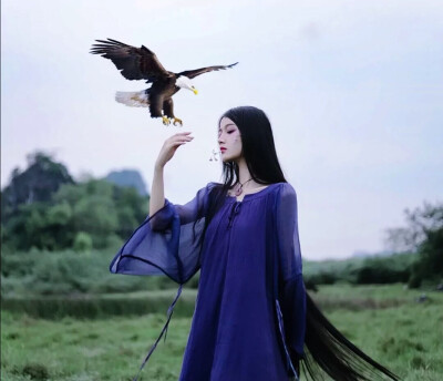 -月上飞花-