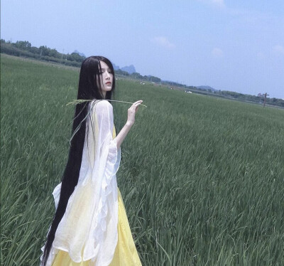 -月上飞花-