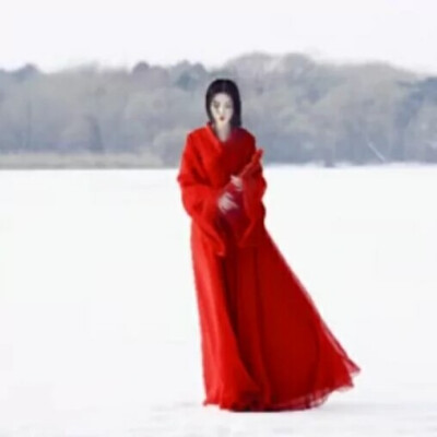 -踏雪寻梅-