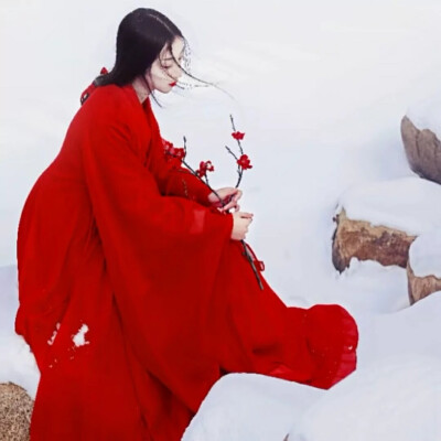 -踏雪寻梅-
