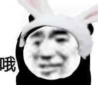 熊猫表情包