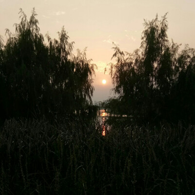 背景图
夕阳 日落