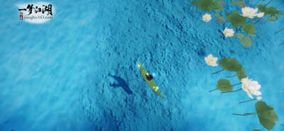 风景党感到快乐