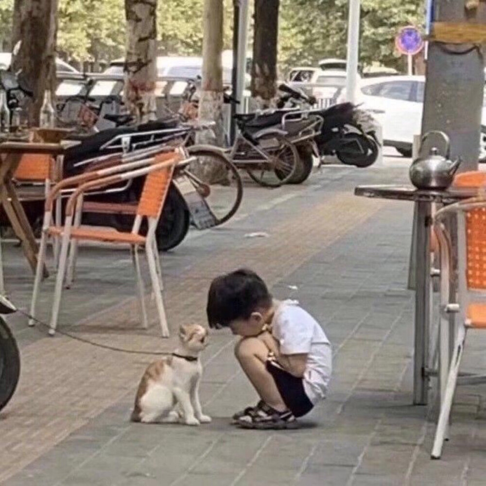 治愈系列